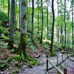 Première sortie de la saison – Randonnée et pique-nique au Parc de la Gatineau