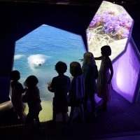 Visite du musée de la Nature