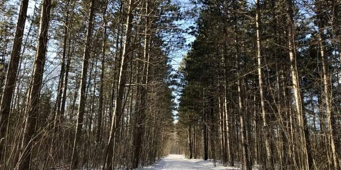 Balade dominicale sur le sentier Moe-Anderson