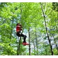 Sortie accrobranche