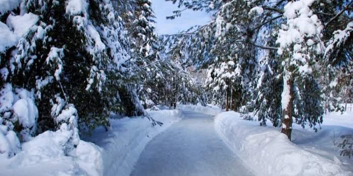 Patinage en forêt au cœur du Lac-des-Loups