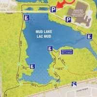 Balade dominicale au Mud Lake- Britania Bay 