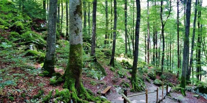 Première sortie de la saison – Randonnée et pique-nique au Parc de la Gatineau