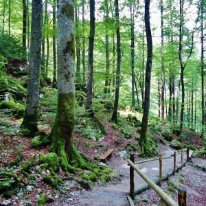 Première sortie de la saison – Randonnée et pique-nique au Parc de la Gatineau