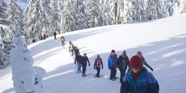 Où s'équiper pour l'hiver ?