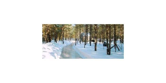 Patinage en forêt