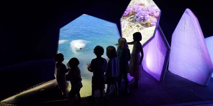 Visite du musée de la Nature