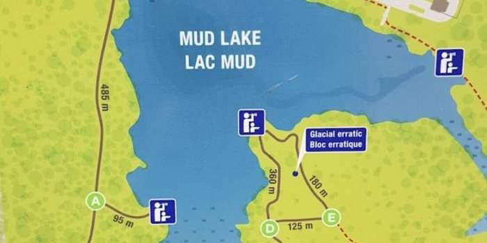 Balade dominicale au Mud Lake- Britania Bay 